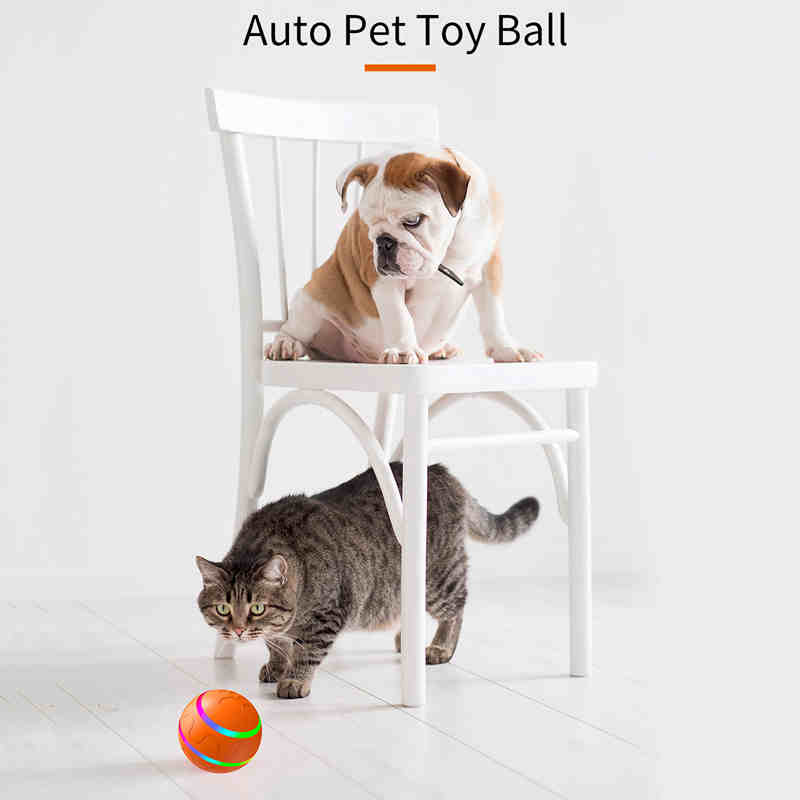 Pet Toys Wholesale 