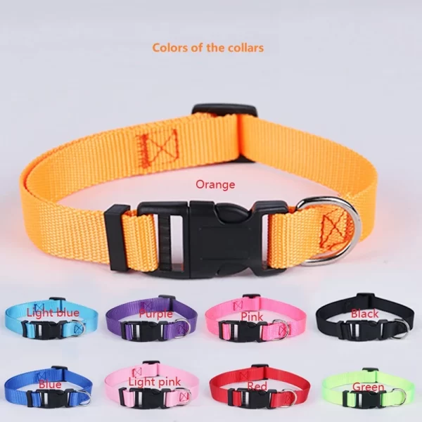 dog collars