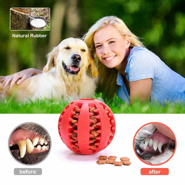 Rubber Dog Balls Wholesale