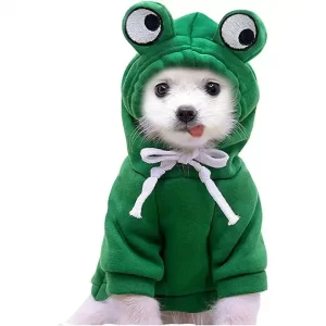 Frog Style Hoodie Coat Cute Warm Jacket
