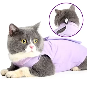 Cat Recovery Suit|MEDICAL PET SHIRT CAT