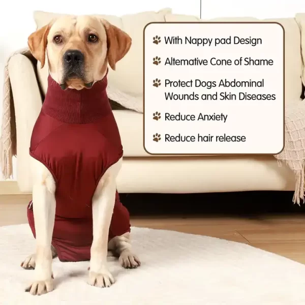 Dog Recovery Suit|MEDICAL PET SHIRT - Image 3