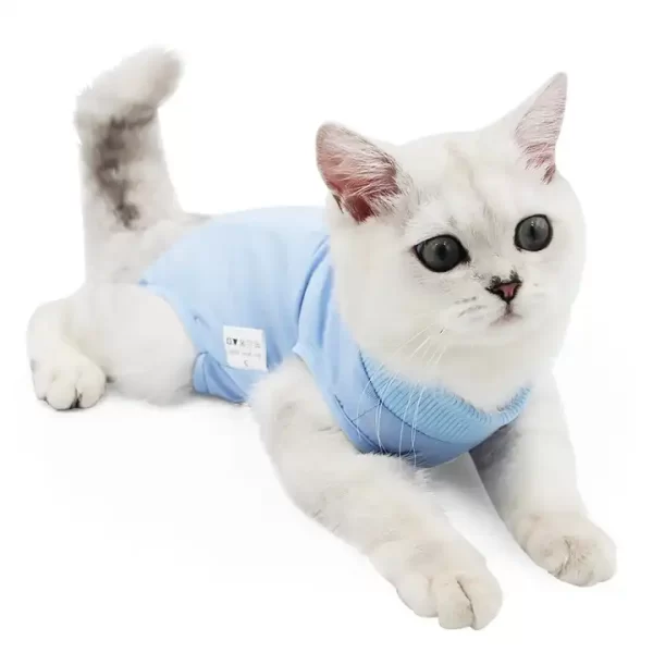Cat Recovery Suit|MEDICAL PET SHIRT CAT - Image 4