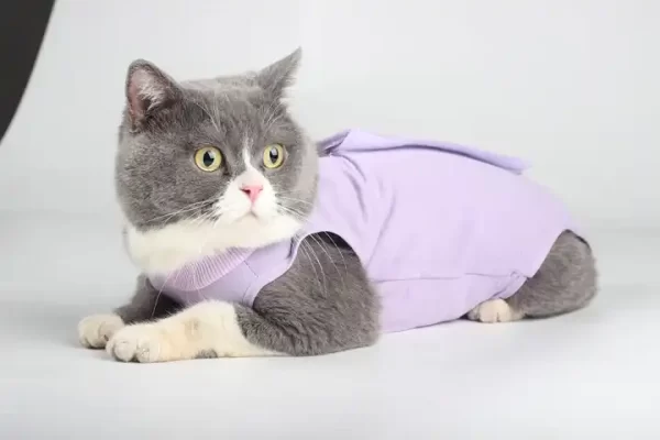 Cat Recovery Suit|MEDICAL PET SHIRT CAT - Image 3