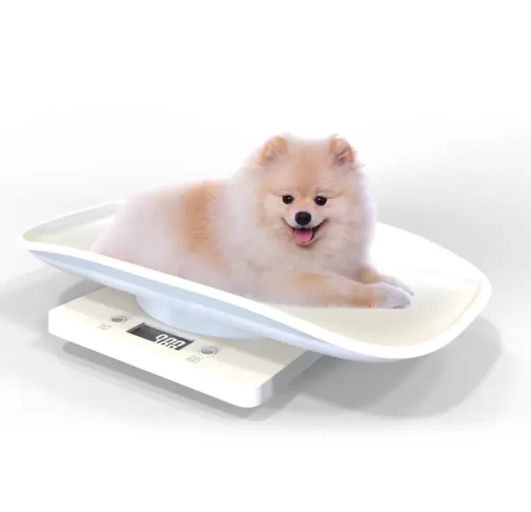 Pet Scale of Digital Weighing Scale - Image 2