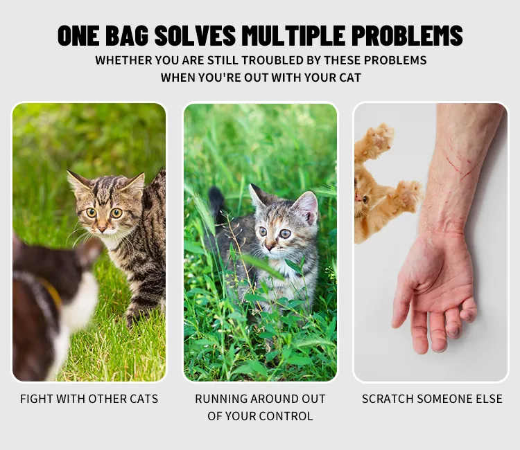 cat Outdoor Bag