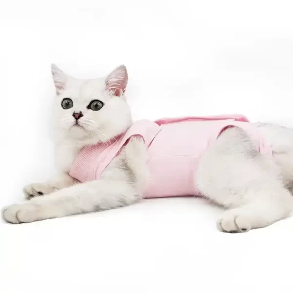 Cat Recovery Suit|MEDICAL PET SHIRT CAT - Image 2