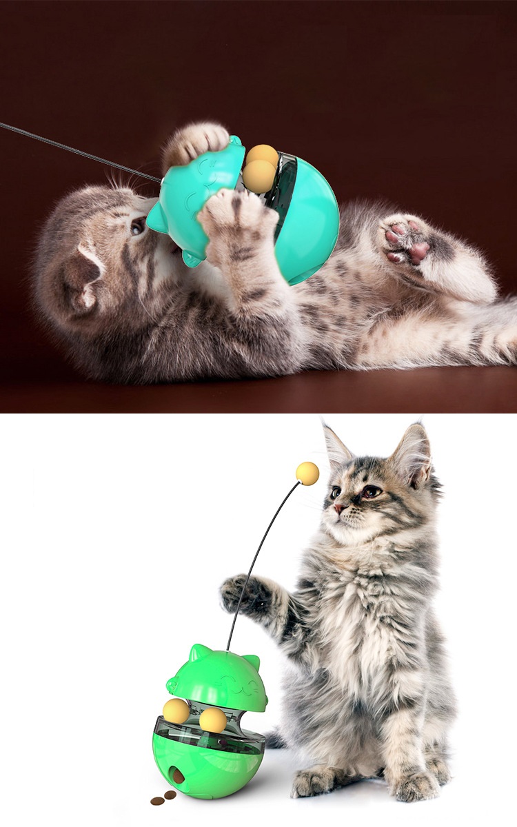 cat toys