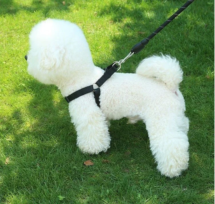 Webbed Nylon Dog Harness