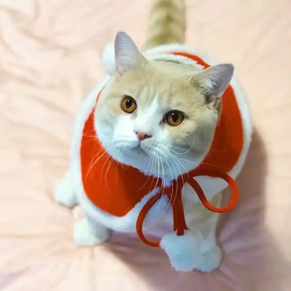 Christmas clothes with cap for small dog and cat - Image 3