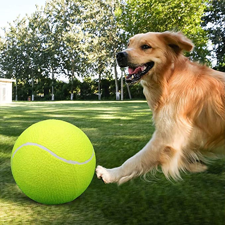 Pet Tennis Ball