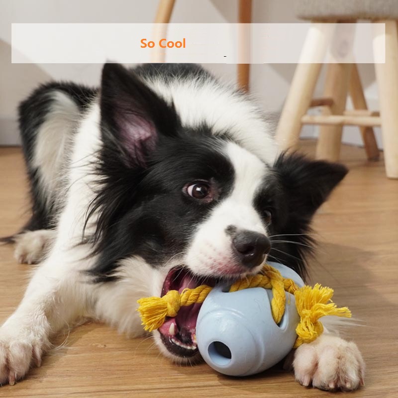 dog rubber ball