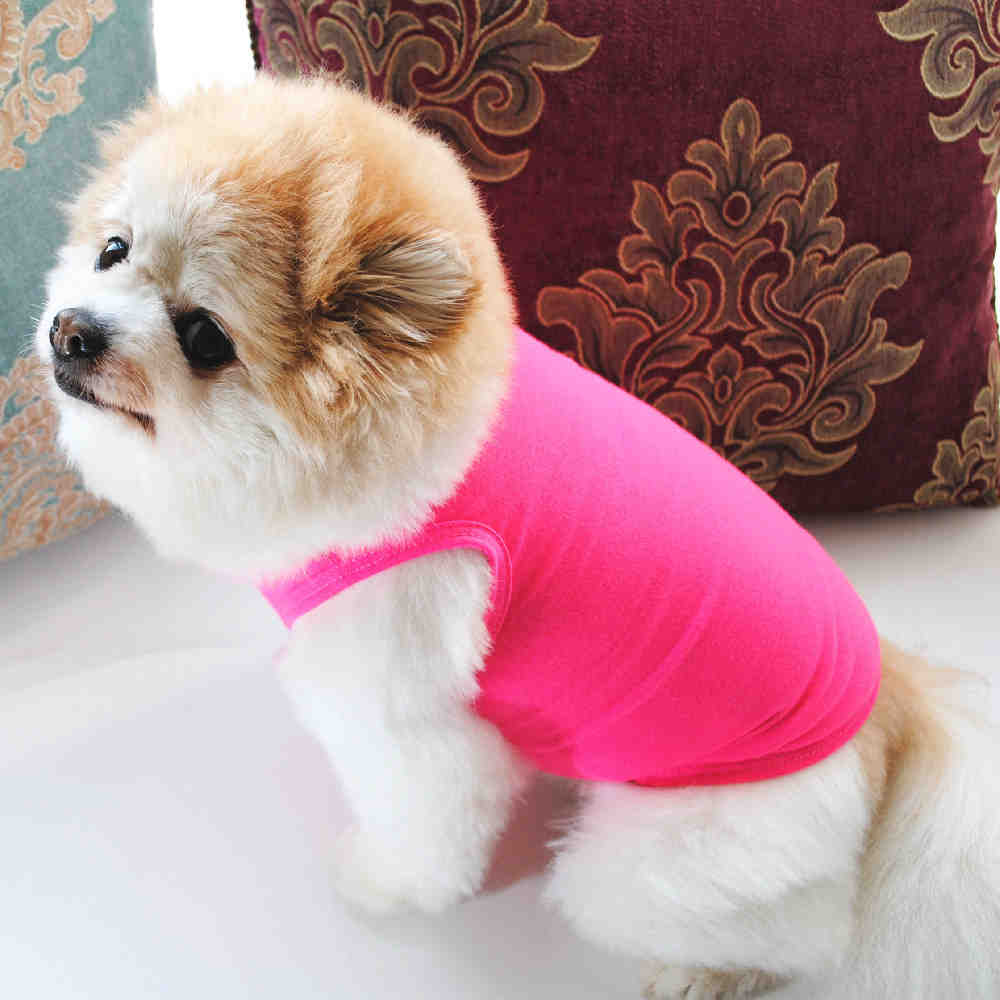 chinese supplier of dog clothes