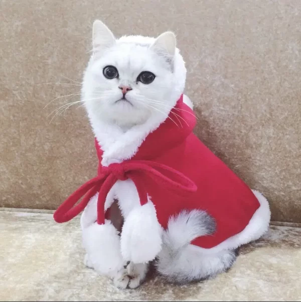 Christmas clothes with cap for small dog and cat - Image 2
