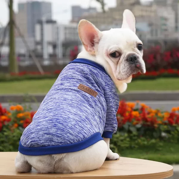 Sweater of winter clothes for cute dogs French bulldog - Image 6