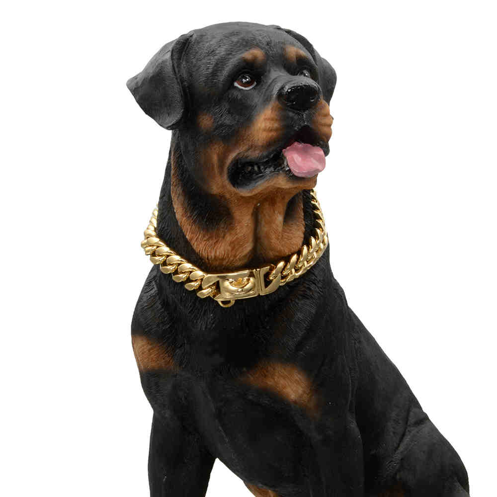 stainless steel dog collar