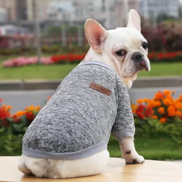 Sweater of winter clothes for cute dogs French bulldog - Image 5