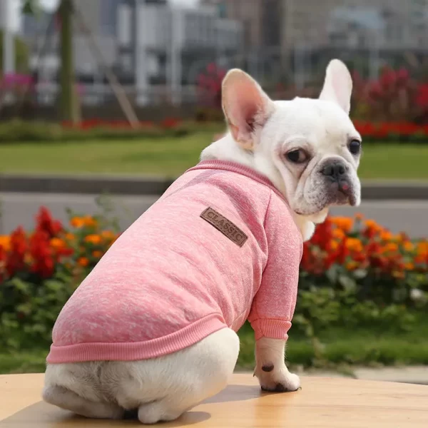 Sweater of winter clothes for cute dogs French bulldog - Image 3