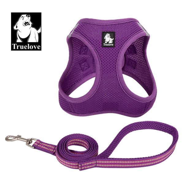 dog harness leashes
