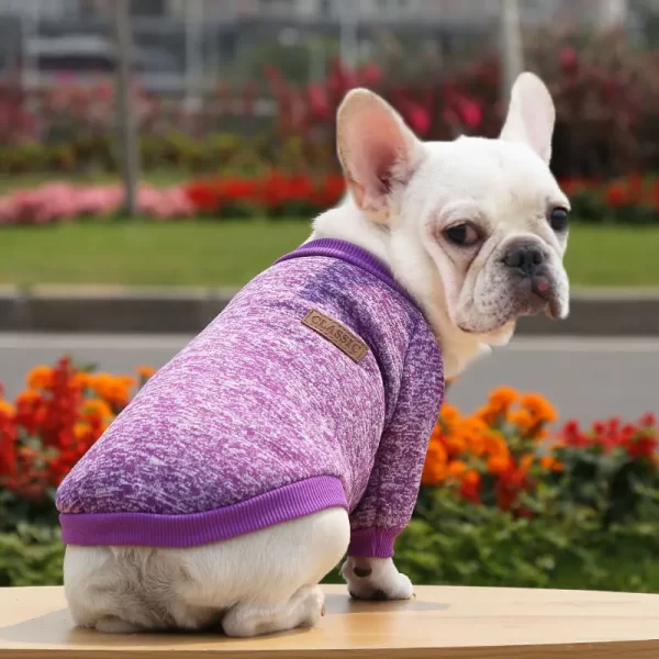 Sweater of winter clothes for cute dogs French bulldog - Image 2