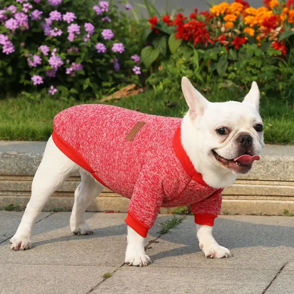 Sweater of winter clothes for cute dogs French bulldog - Image 4