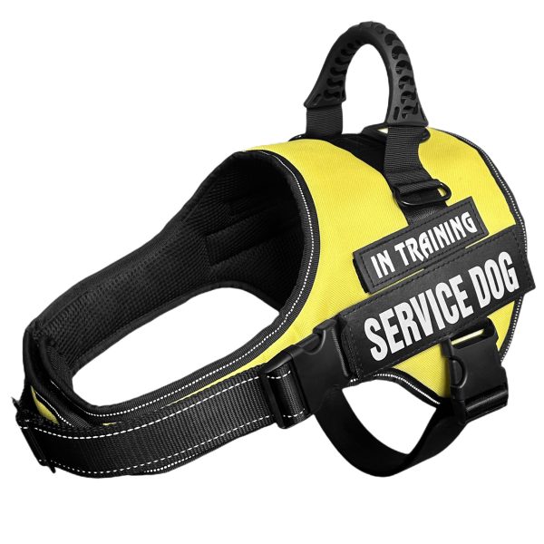 harness dog