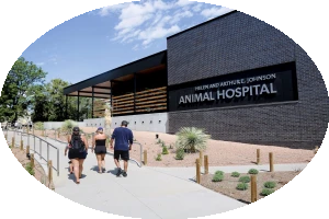 animal hospital