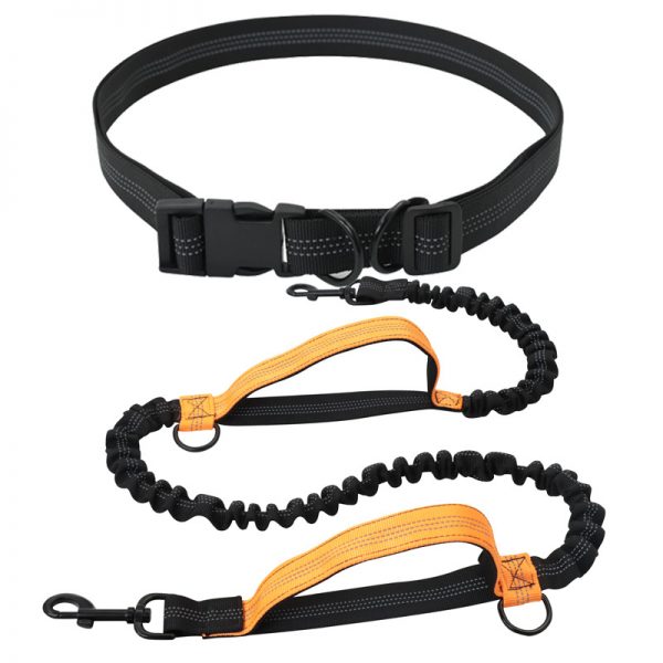Dog Leash with Bungee