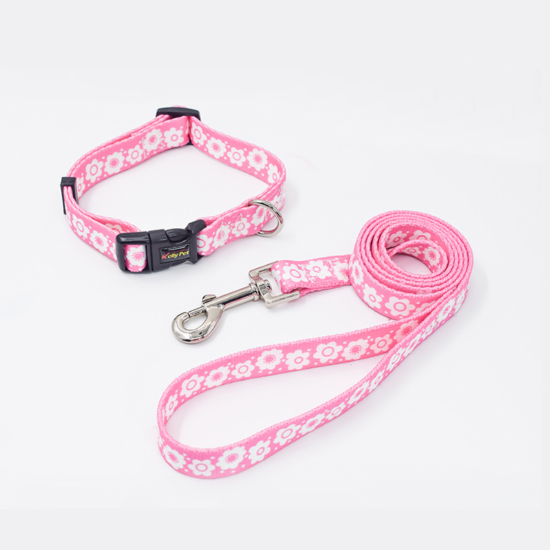 dog Collars leashes wholesale